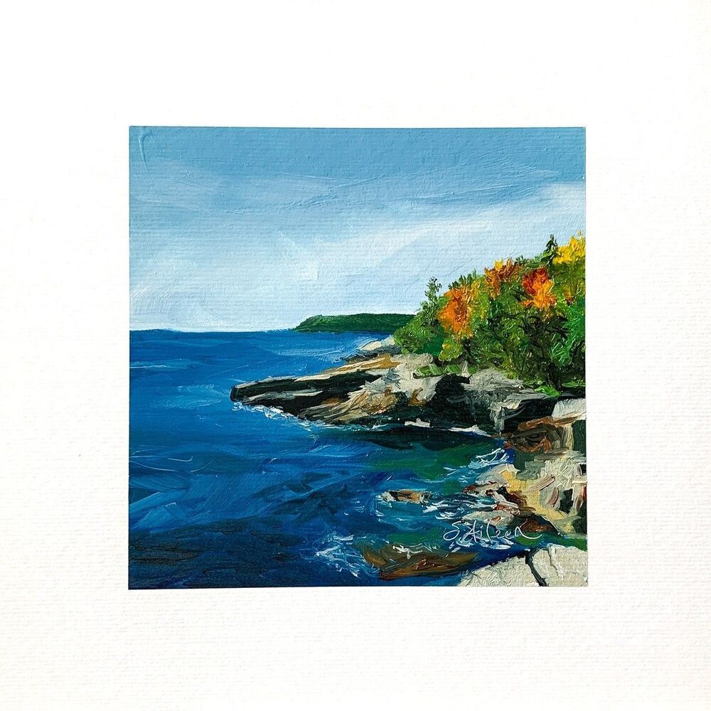 8x8 Maine Original Oil Painting Acadia Pine Trees New England Coastal Art Signed